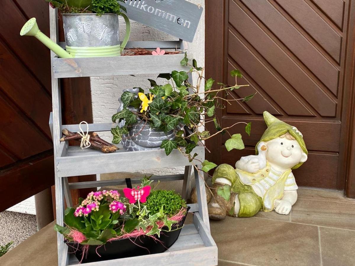 Cozy Apartment In Merlsheim With Garden Nieheim المظهر الخارجي الصورة